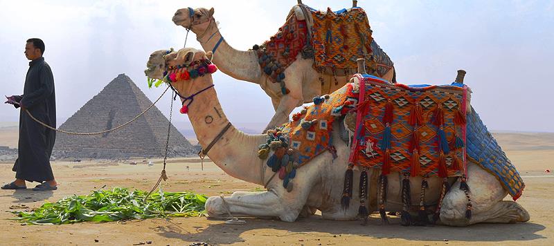 egypt cairo tour places