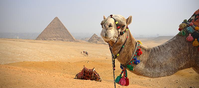 egypt cairo tour places